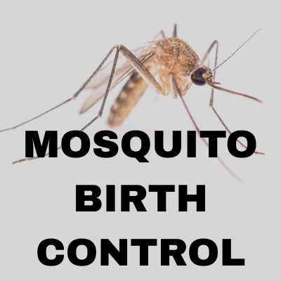 episode Sterile Mosquitoes Deployed - Adriane Rogers Pasco Mosquito Control artwork