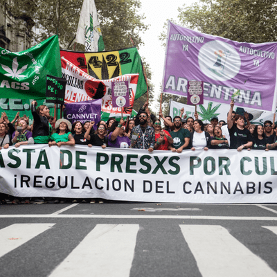 episode La Legislatura porteña adhirió a la Ley de cannabis medicinal artwork