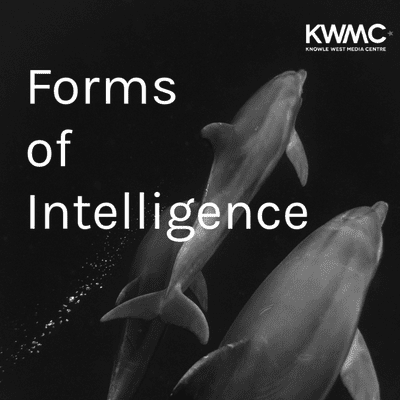 episode Forms of Intelligence -#08 - Listening to dogs through animal centred design with Luisa Ruge; designer and entrepreneur artwork