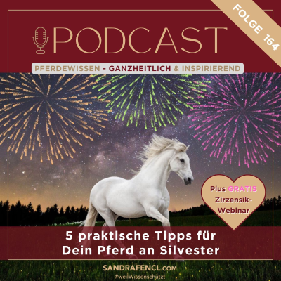 episode 🐎🧨5 praktische Tipps für Dein Pferd an Silvester artwork