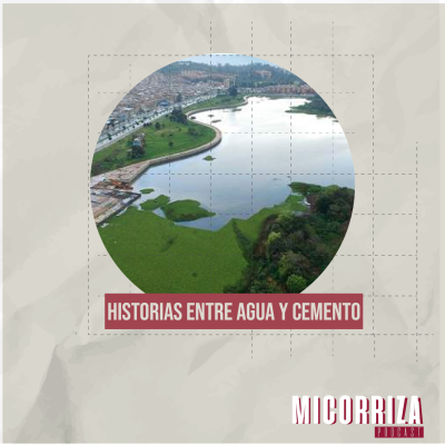 episode Micorriza Podcast | 6 | Historias entre agua y cemento artwork