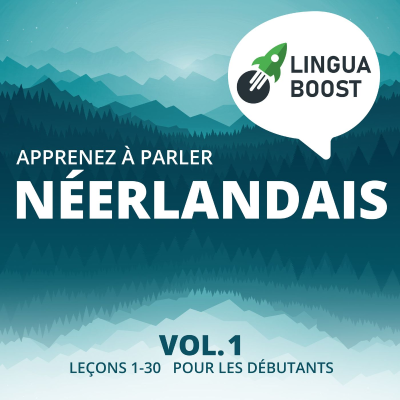 episode Leçon 16: Qu’as-tu fait aujourd’hui ? artwork