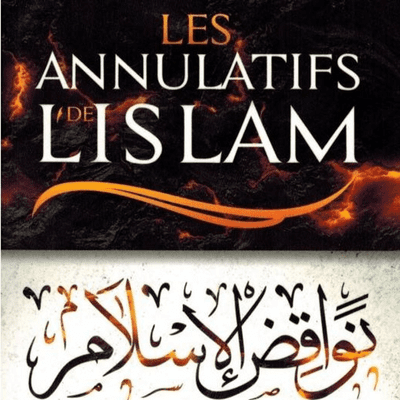 episode Nawaqid Al-islam 10_Abou ibrahim Souleyman Diallo artwork