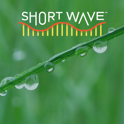 episode Why Dew Point Is This Summer's 'It Girl' artwork