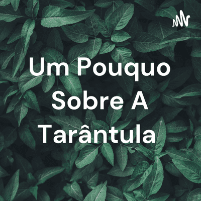 Um Pouquo Sobre A Tarântula