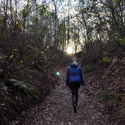 episode Forest Bathing: a Natural Way to Be Balanced and Healthy artwork