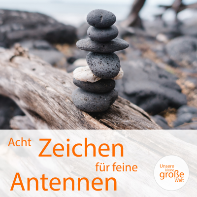 episode Acht Zeichen für feine Antennen artwork
