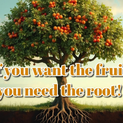 episode If you want the fruit, you need the root. artwork