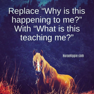 episode The Way You Look at Life artwork