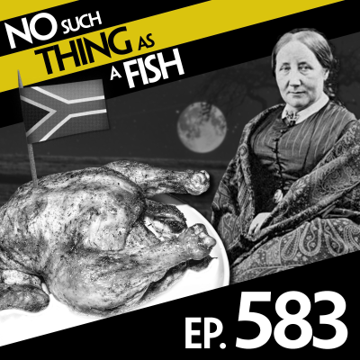 episode 583: No Such Thing As A Tuna Macchiato artwork