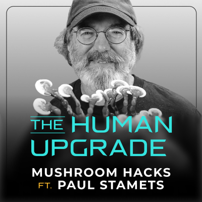 episode Eat THESE Anti-Aging Mushrooms to Live Longer (Paul Stamets) : 1327 artwork