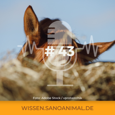 episode Sanoanimal Podcast #43 - Heu wässern oder bedampfen? artwork