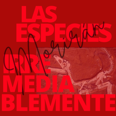 episode Las especies irremediablemente morirán. artwork