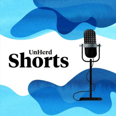 episode David Brooks interview: why social freedom is not a good feeling artwork