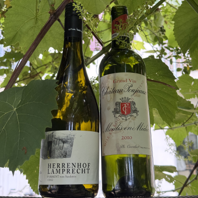 episode Blindflug 165: Terroir ist lame artwork