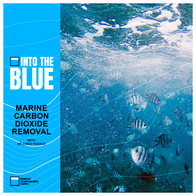 episode Marine Carbon Dioxide Removal: The Newest Climate Mitigation Technique | Into the Blue Podcast artwork