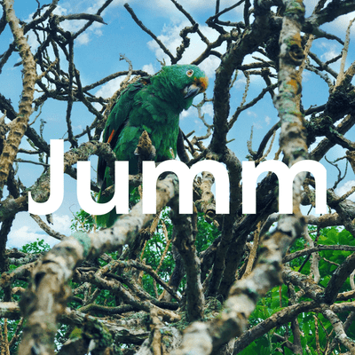 Jumm