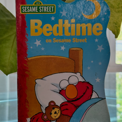 episode Bedtime on Sesame Street by Leslie Kimmelman illustrated by Maggie Swanson artwork