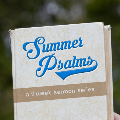 episode Live By the Book artwork