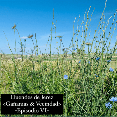 episode Duendes de Jerez “Gañanias y Vencindad” -Episodio VI- artwork
