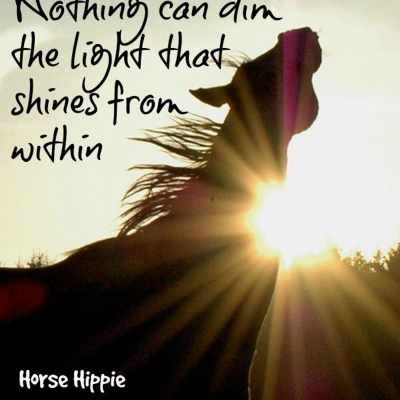 episode The Darker it is the Brighter You Shine artwork