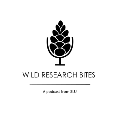Coverbild der Sendung Wild Research Bites - a podcast from SLU