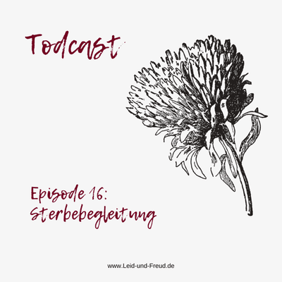 episode Episode 16: Sterbebegleitung artwork