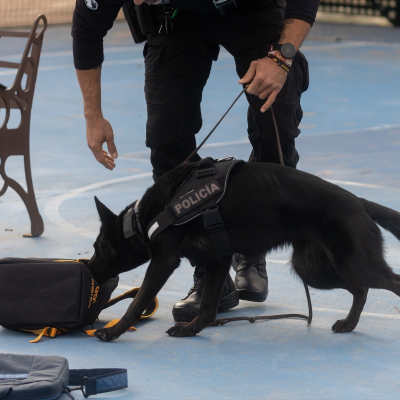 episode Territorio Negro: Policías, guardias y militares de cuatro patas artwork