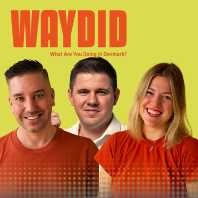 episode 118 | Where Your Tax Money Goes in Denmark and How to Have Your Say artwork