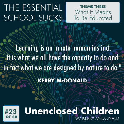 episode 23. Unenclosed Children artwork