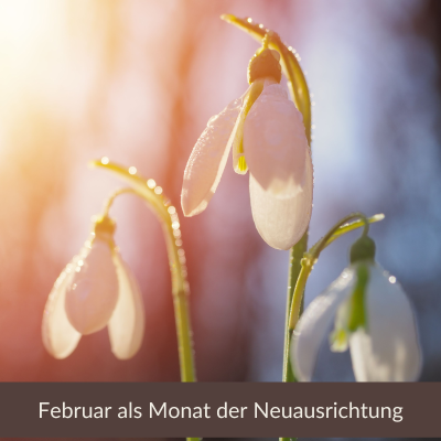 episode Februar als Monat der Neuausrichtung artwork