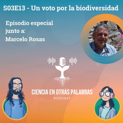 episode S03E13 - Un voto por la biodiversidad artwork