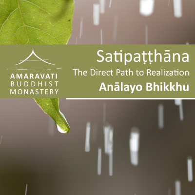 episode Sabasava Sutta – Majjhma Nikaya artwork