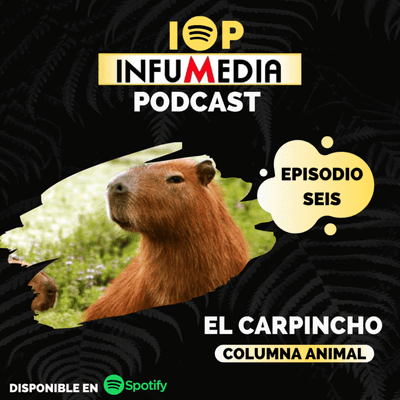 episode Capítulo 6- El Carpincho en "Quién es ese animal?", la columna animal de Renzo Pugliese. artwork