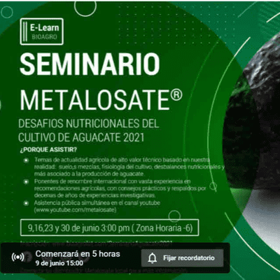 episode Charla Doc. Carlos Gauggel - Condiciones edafológicas y fertilización edáfica en el cultivo de aguacate artwork