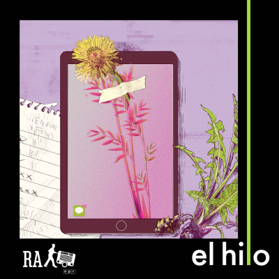 Mi cara pero no mi cuerpo [Radio Ambulante]