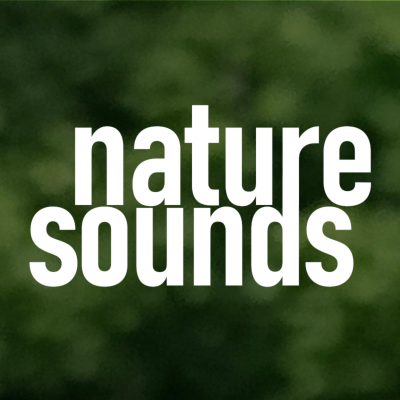 Nature sounds for sleeping