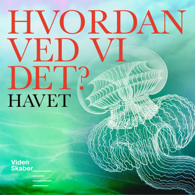 Cover image Hvordan ved vi det?
