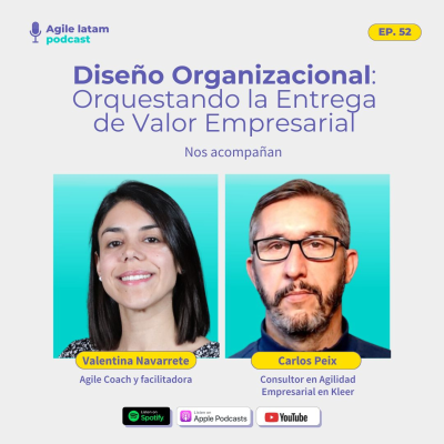 episode Capítulo 52 -Diseño Organizacional: Orquestando la Entrega de Valor Empresarial artwork