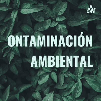 CONTAMINACIÓN AMBIENTAL