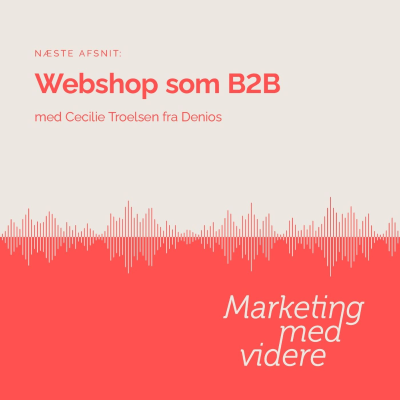 episode Afsnit #45: Webshop/e-commerce som B2B artwork
