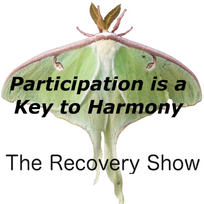 episode Participation is a Key to Harmony and Growth – 433 artwork