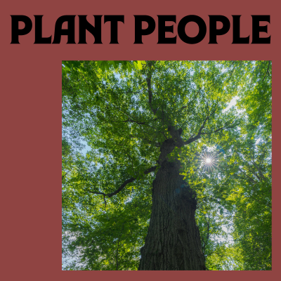 episode The Tree Collectors artwork