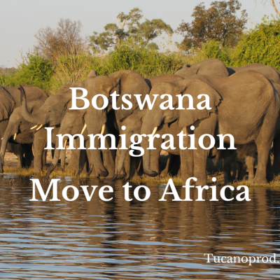 episode Botswana immigration visas and residence permits- Move to Africa artwork