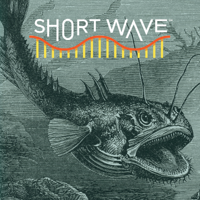 episode Anglerfish Ancestors Once Roamed The Seafloor artwork
