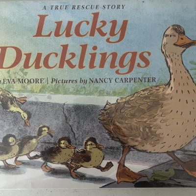 episode “Lucky Ducklings” by Eva Moore and illustrated by Nancy Carpenter artwork