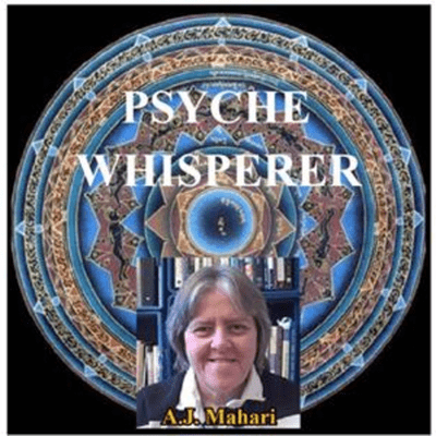 episode Mindfulness and The Art of Choice by Karen H. Sherman Ph.D. artwork