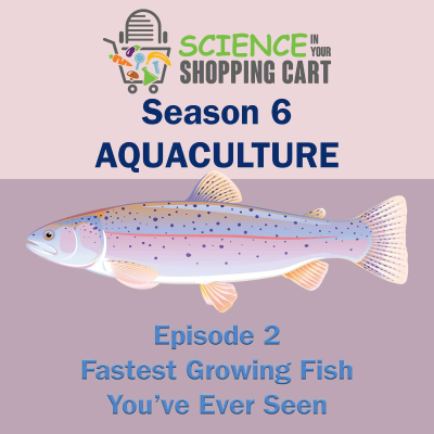 episode Season 6: Aquaculture | Episode 2: Fastest Growing Fish You've Ever Seen artwork