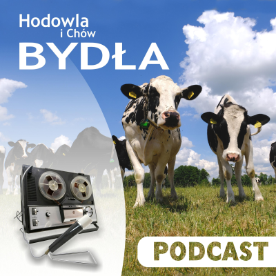 episode Najgorzej, kiedy spada opłacalność artwork