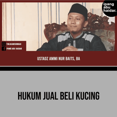 episode Hukum Jual Beli Kucing - Ustadz Ammi Nur Baits, BA artwork